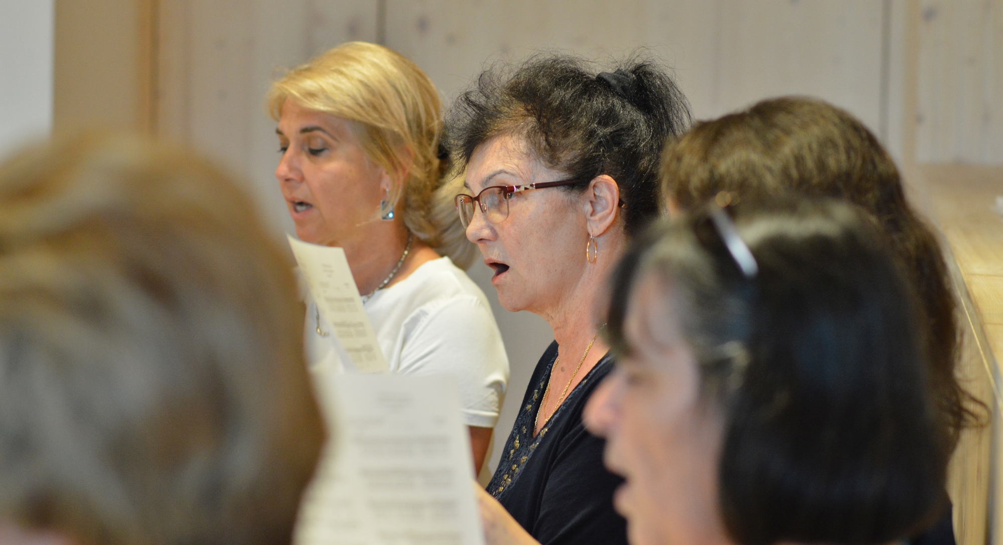 Why choir vocal training?